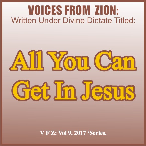 ALL YOU CAN GET IN JESUS
