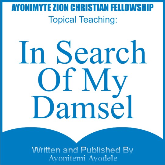 IN SEARCH OF MY DAMSEL.