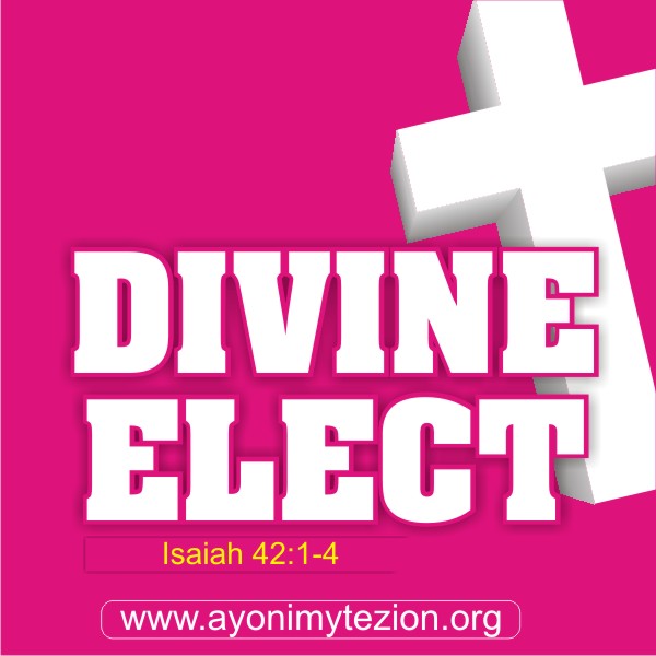 Divine Elect