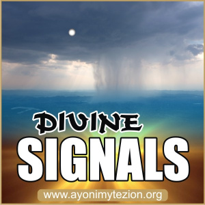 DIVINE Signals