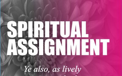 SPIRITUAL ASSIGNMENT
