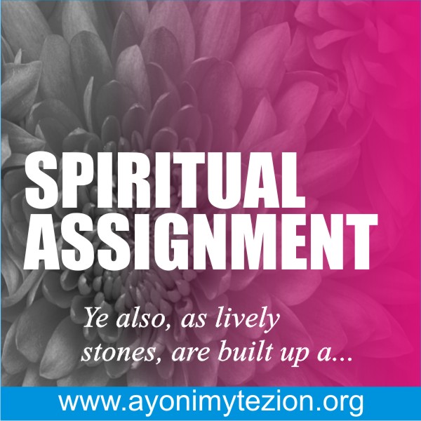 Spiritual Assignment